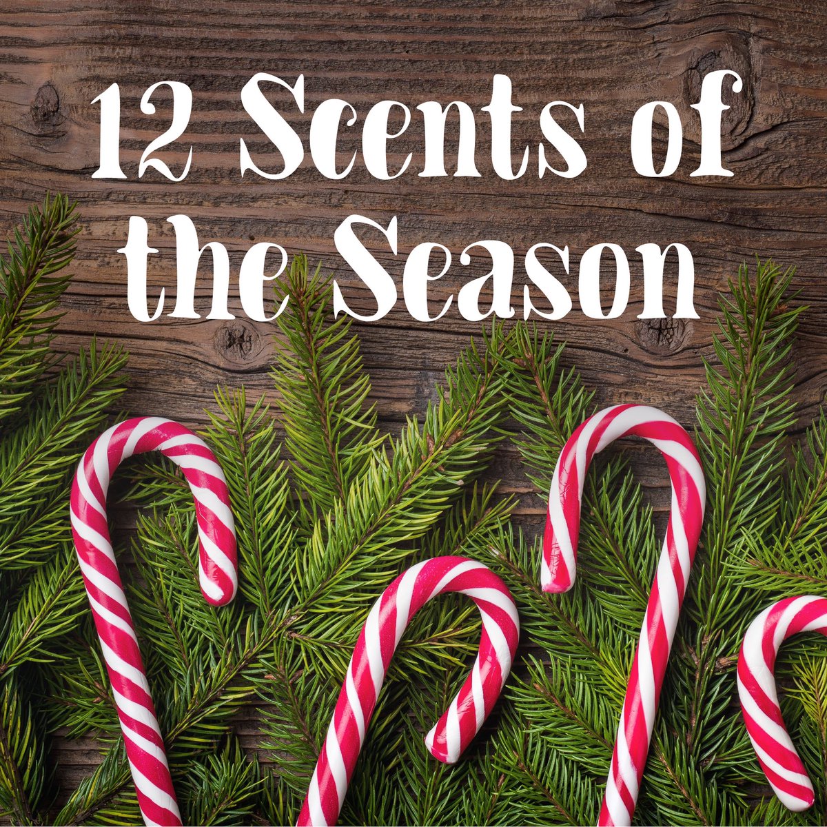 ScentAir's tweet photo. We’ve compiled our favorite scents of the 2018 #holidayseason in the 12 Scents of the Season ✨
Check out what fragrances we’re decking the halls with this year: https://t.co/aTpiDLZBxQ https://t.co/bEmp0QK7LP