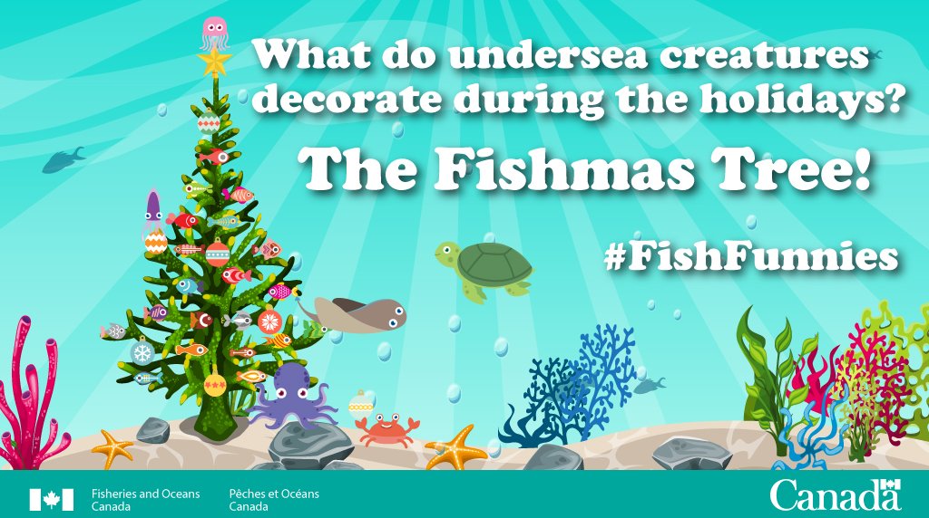 FishOceansCAN's tweet photo. 6 days until Christmas! #FishFunny https://t.co/p0ZJh3iK9B
