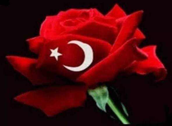 UzmanınMerkeziTaşrasıOlmaz biz biriz Türkiyemin fidanları gönüllü gülleriyiz