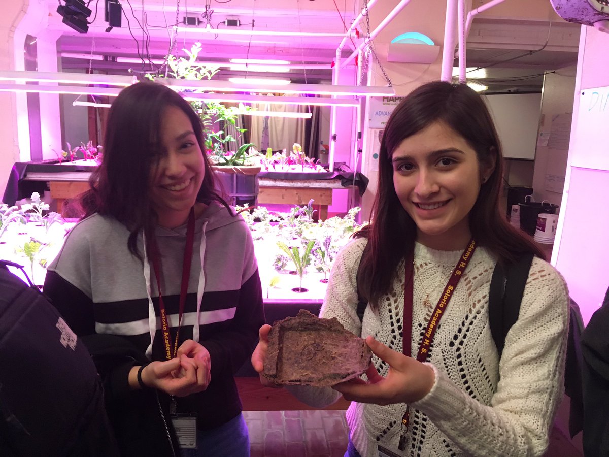 gretavsgreta's tweet image. Thank you @plantchicago for teaching us the power of nitrifying bacteria and closed loop design! #nitrogencycle #CPSstem #APES