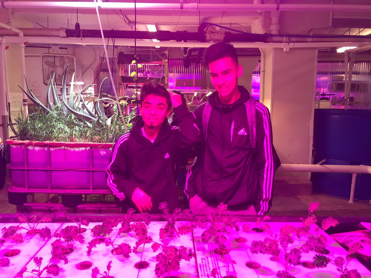 gretavsgreta's tweet image. Thank you @plantchicago for teaching us the power of nitrifying bacteria and closed loop design! #nitrogencycle #CPSstem #APES