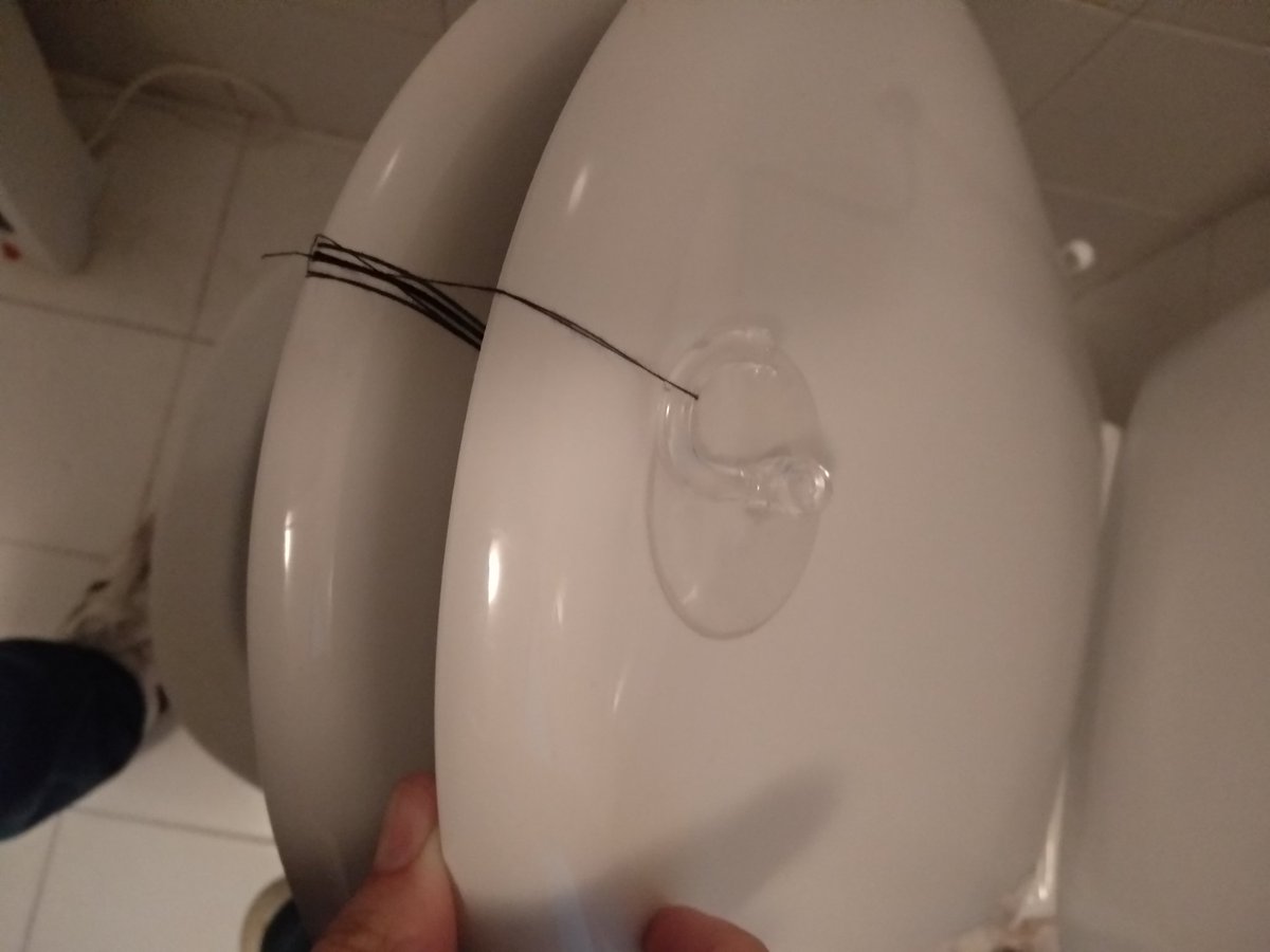 JLBbbb's tweet photo. Chapuzas de piso de estudiantes nivel: https://t.co/tDzkSKRA1U
