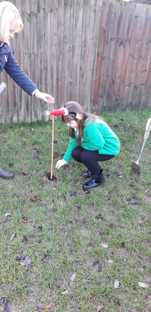 CwrtRawlinprim's tweet photo. @WEThomps5 for planting our donated trees with the help of Eco club. @CaerphillyCBC #fromsmallseeds https://t.co/zRIblFKaxL