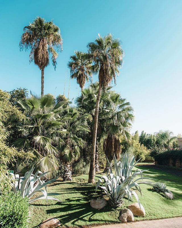 stagedives_'s tweet photo. [werbung] Today we checked in to @mo_marrakech and amazing views ☀️ 🌴
__________________________________
#canondeutschland #mandarinoriental #mandarinorientalmarrakech #imafan #moroccotravel #moroccovacations #marrakech2018 #marrakech #marrakesh #mar… https://t.co/xeXgi1rgi0 https://t.co/1hhlu6WOeK