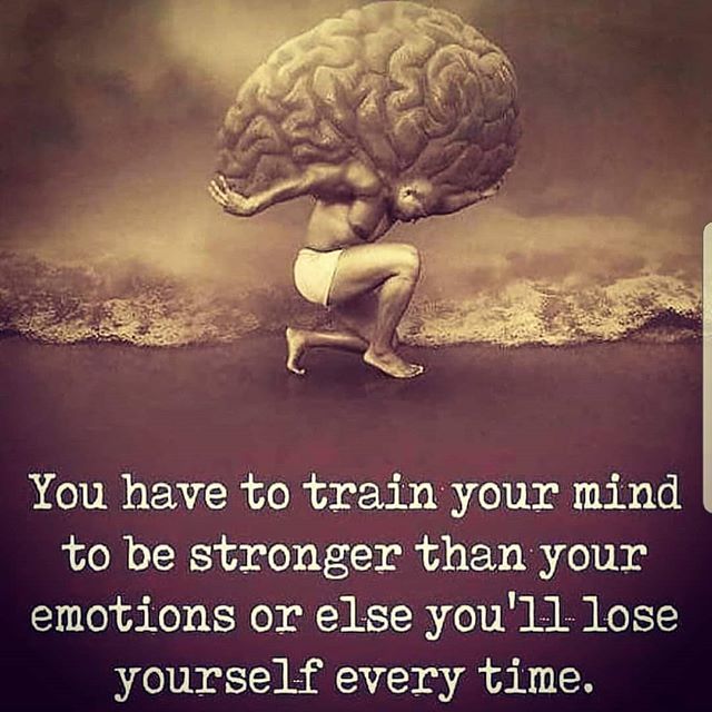 amateurtwinmom's tweet photo. Finding balance between heart and mind is tough. Experience and practice help us understand why there needs to be a separation.
.
.
#mentalstrength #mindoverheart #mindovermatter #dailyquotes #igdaily #tuesdaymotivation #amateurtwinmom #sflmom #twinmomswโฆ https://t.co/JgogJ0mv11 https://t.co/xCYpiyRCd9