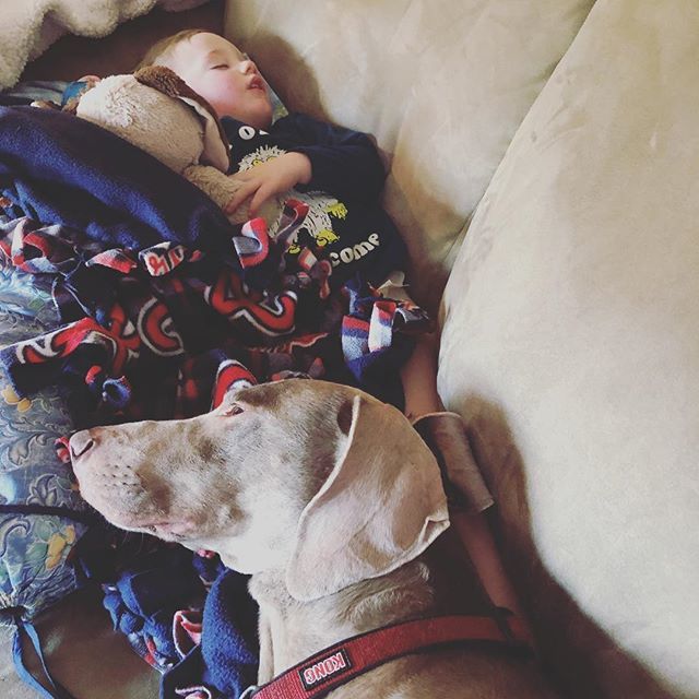 KellyDouglas's tweet image. On the third day and last day of gramsfest, we have two boys resting.  #maddoxtate #thisistwo #hitchdidit #instagrand #naptime #davedog ift.tt/2R5XDOH
