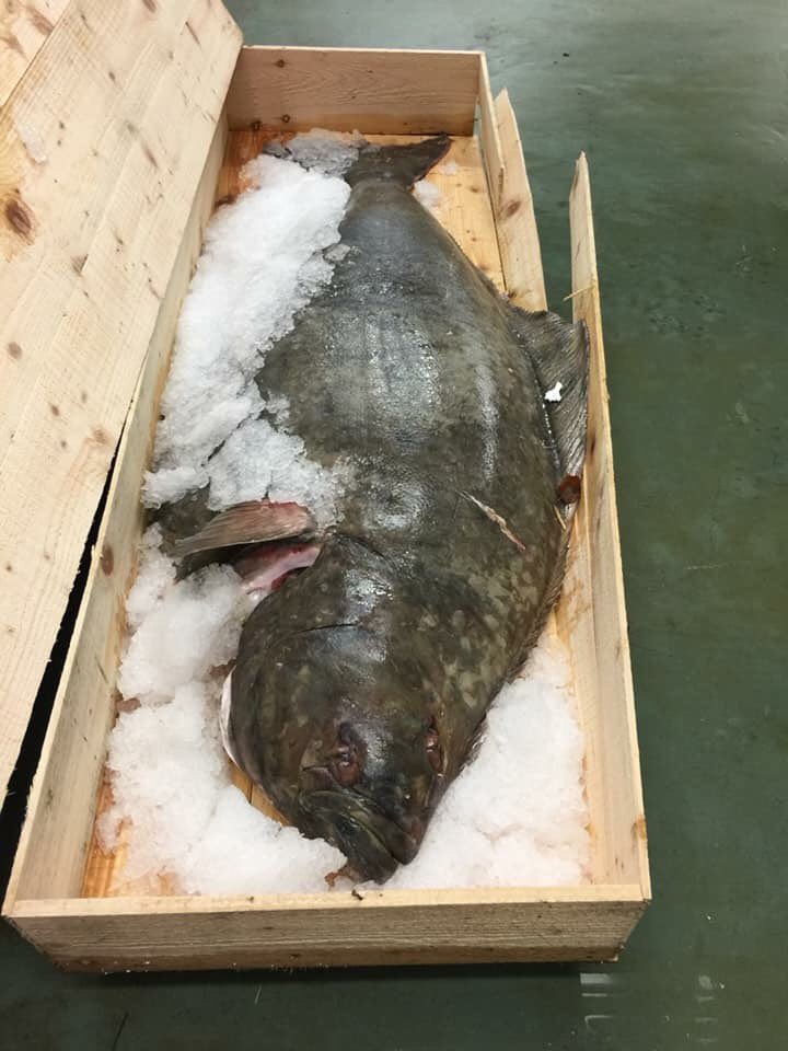 Brixham Fish Market tweet media