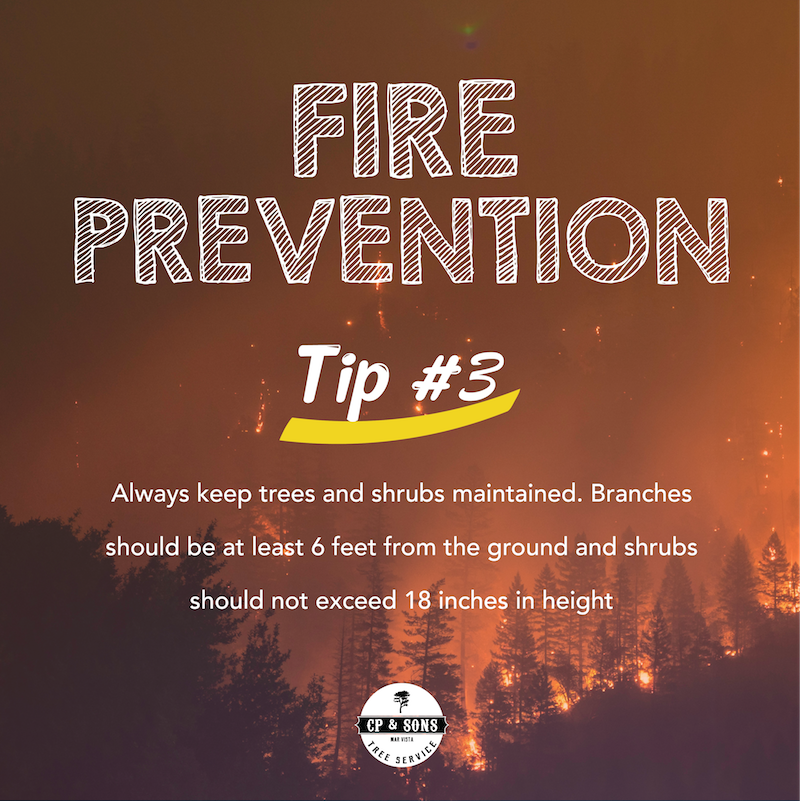 Never let your trees and shrubs go unmaintained for long periods of time.

#Malibustrong #Wildfire #Fire