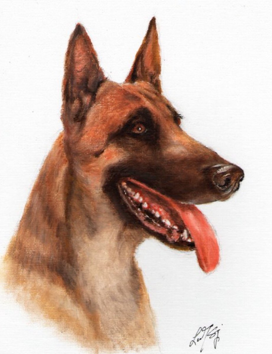 PostmanBark's tweet image. Decided to share some pet art work for both my twitters! Art by T. F. Lu.  #dogs #DogLover #dogandpuplovers #dogsoftwitter #art