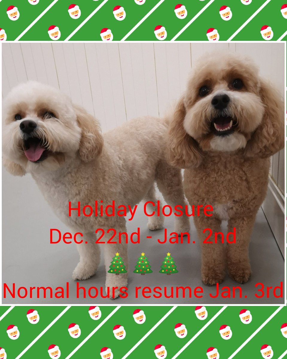 Reminder that we are closed for Daycare and grooming over the holidays. Normal hours resume Jan. 3rd.