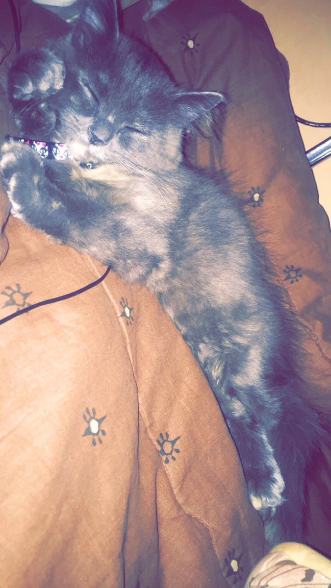 للبيعع❤تواصل دايركت