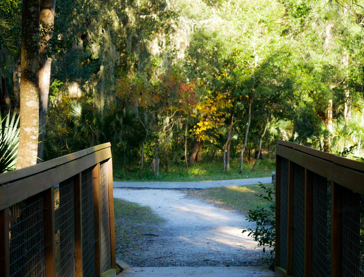 JaxArboretum's tweet image. Colors of fall..

#apopofcolor #JAG #aroundthelakeloop