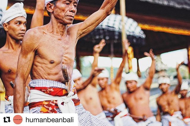 CoverLetterResu's tweet photo. Love 💖 is our wonder today ... Have you ever wondered how the Balinese live in such harmony with each other and nature around them?

Its called Tri Hita Karana, a philosophy of life and a basis for all their relationships - It literally translates as… https://t.co/dt4JqBwd2y https://t.co/PvfOFjAUjp