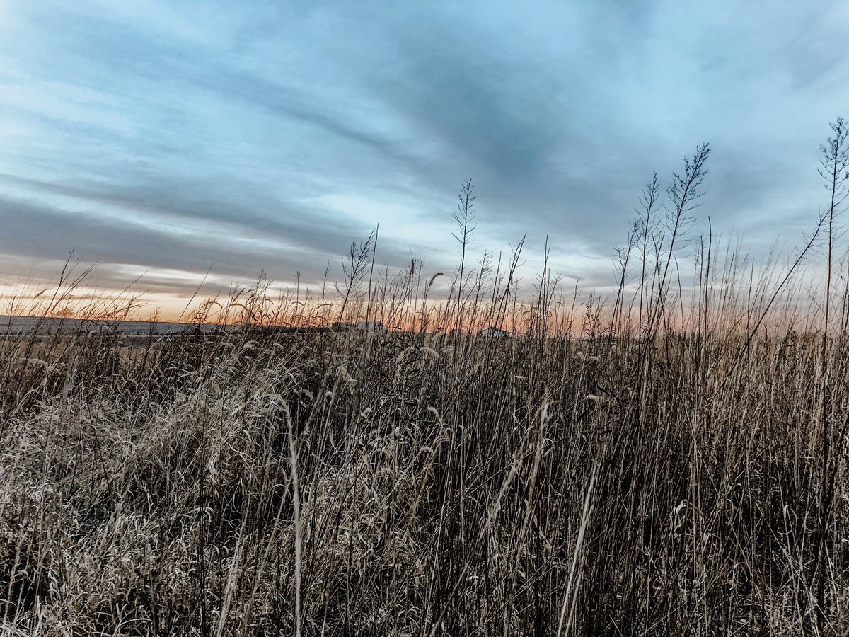 jrastiphotos's tweet photo. Pittsfield, IL in December. #winter #sunset #sunrise #red #blue #pink https://t.co/CW0jSW5APX