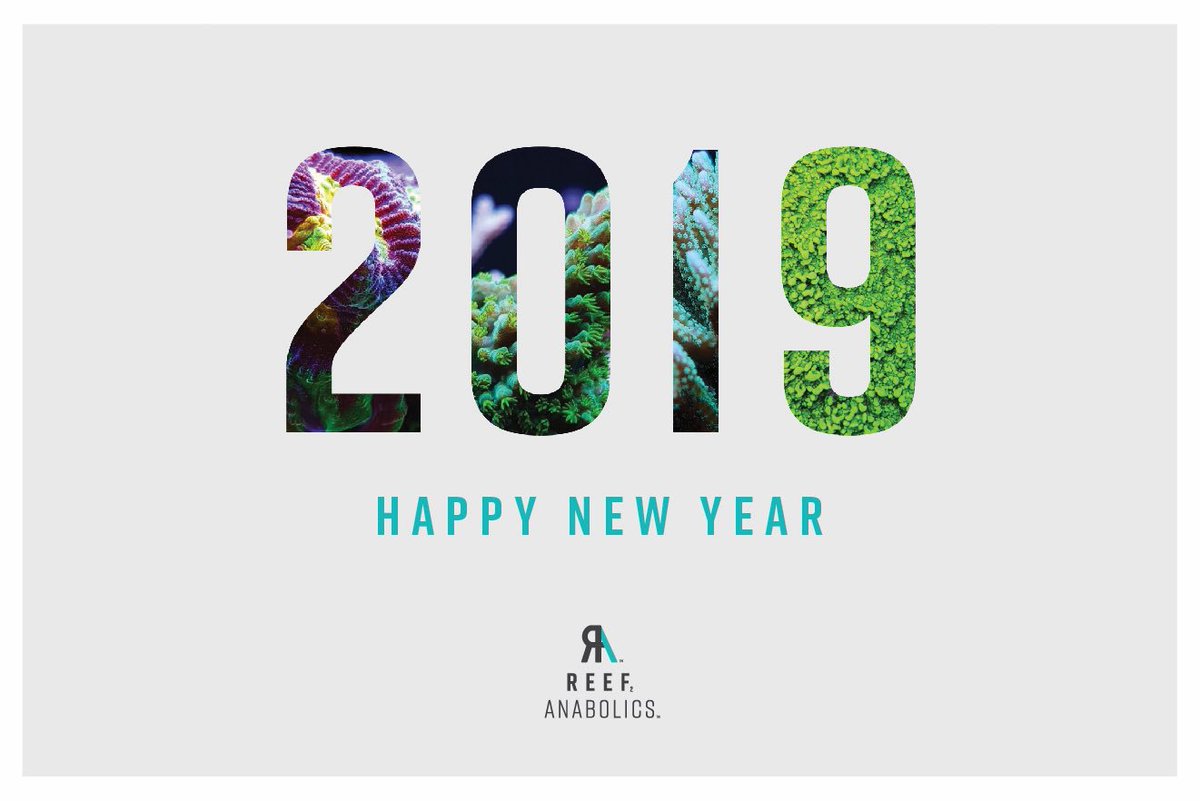 Reefanabolics's tweet image. Hello 2019 🥳✨💃🏽🕺🏽

Reef Anabolics are gearing up for an exciting year 😆 Watch this space, there’s more to come over the next 12 months 💪🏽

#reefanabolics #RA #happynewyear #coral #reef #saltwateraquarium