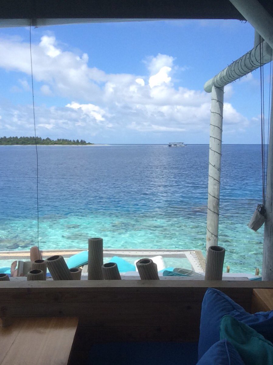 desmitchell's tweet image. 