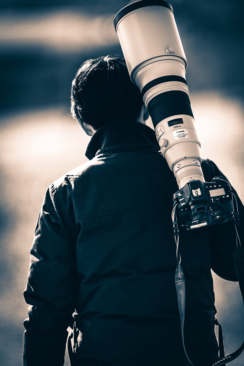 ヴェル二 בטוויטר こういうポートレートを見るといつも思う 腕に力入ってないよね レンズ それも超望遠単はそんな簡単に持てるものでもない 虚像なんだから細部に凝らないと途端にチープになるんだよね