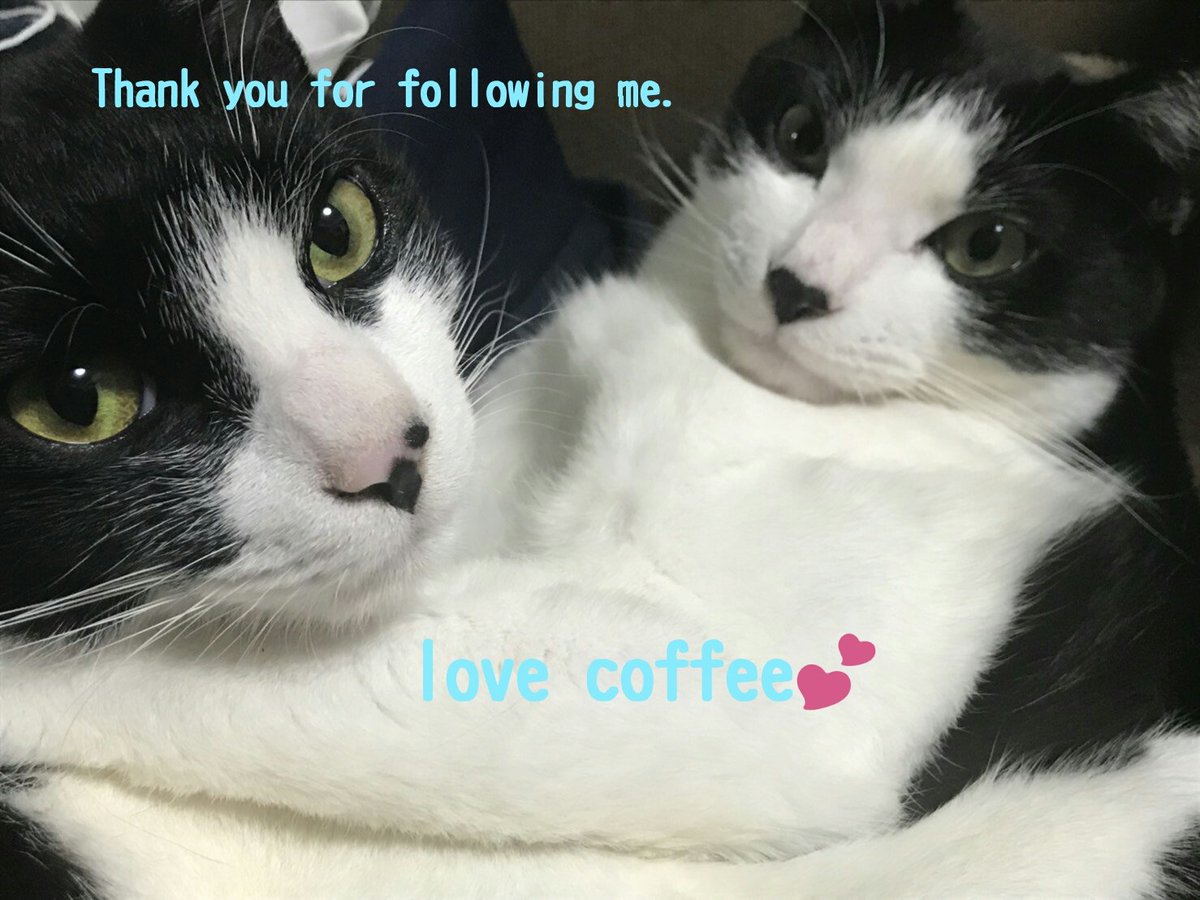 ambre💖💕😈 tweet media