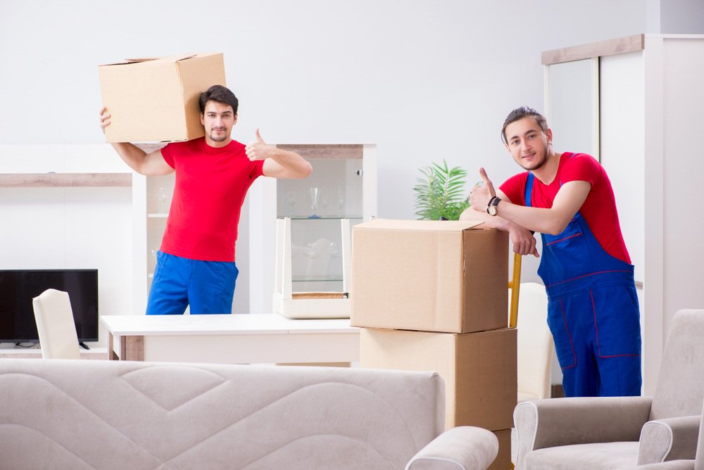 DTDC Packers and Movers tweet media