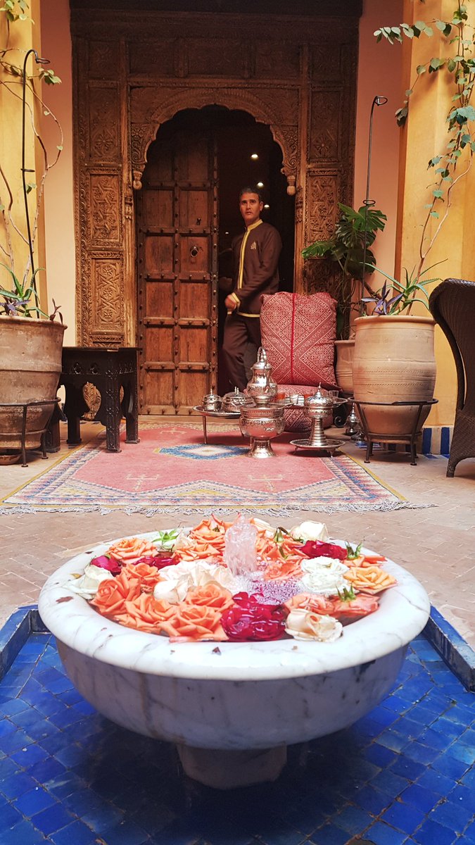 greypcarter's tweet photo. This is what 48 hours in #Marrakesh looks like for #NewYears2019. Loved visiting @lamaisonarabe and @Soloungekech #Morocco #travel https://t.co/K8Q7itpvsj