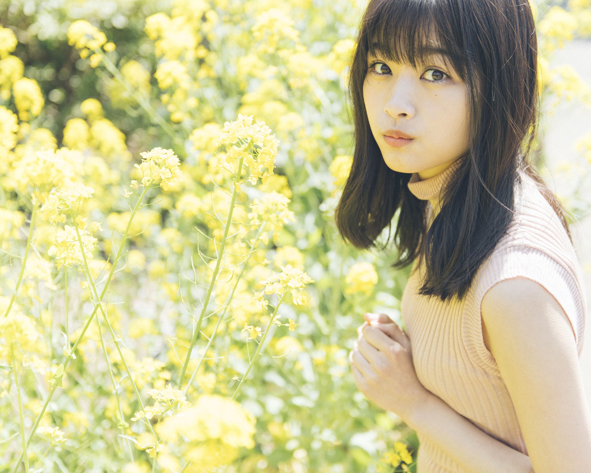 欅坂46 欅のキセキ　原田葵　初詣2018〜謹賀新年〜　オリジナルフォト Amazon.co.jp: 欅坂46 生写真 原田葵 2016-WINTER-0406