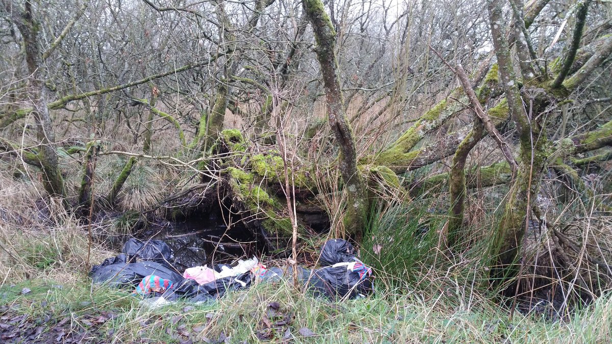 JL_nature's tweet photo. A beautiful section of wet #woodland at Lough Smiley pNHA #Castleblayney polluted by #dumping - report all incidents in #Monaghan to @MonaghanCoCo direct or via @EPAIreland "See it, Say it" app #wildmonaghan @NewsonNS @theNSMonaghan https://t.co/OhM0Cu3aSJ