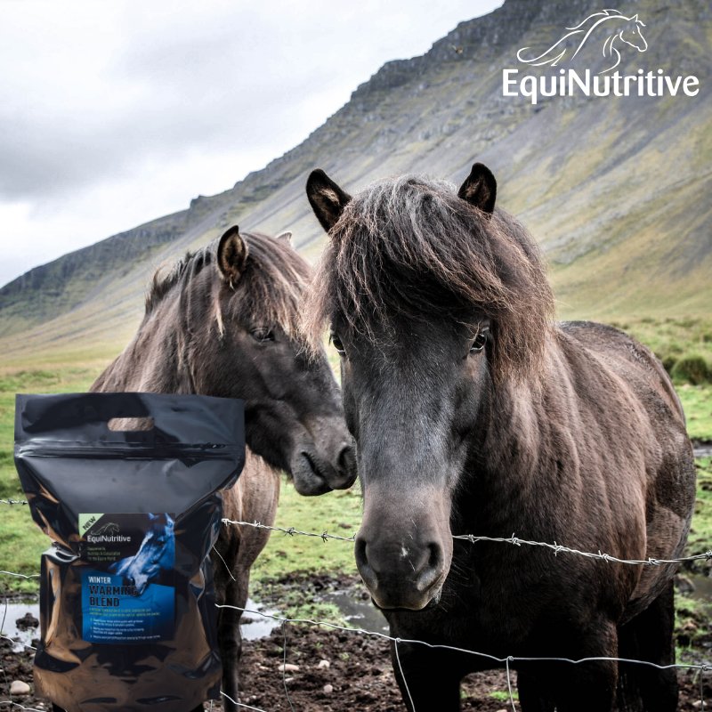 EquiNutritive ensures horses feel as good on
the inside as they look on the outside. Discover our products here: equinutritive.com