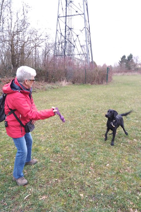 Chiens Guides de l'Est tweet media