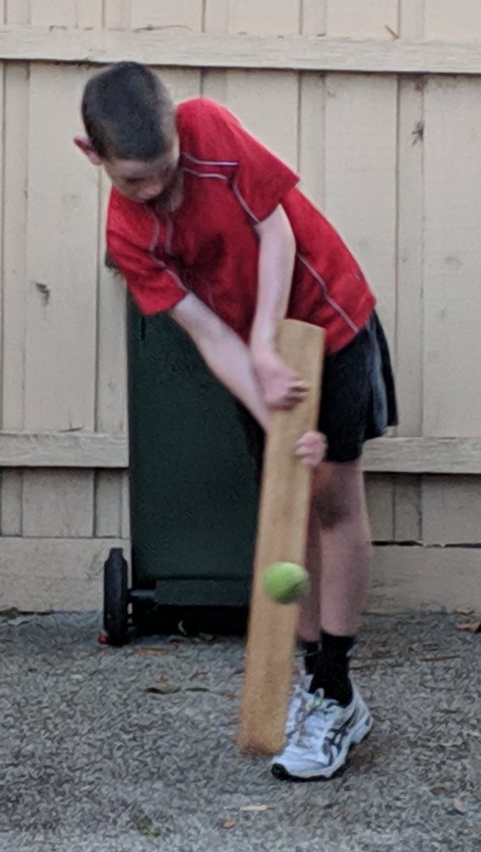 MybatStickers's tweet image. Beautiful night for BBQ. The makeshift bat aka plank of wood needs some personalised bat stickers! 

mybat.co

#bbl2018 
@RenegadesBBL
@StrikersBBL 
#Cricket 
@CricketAus 
@BBL 
@FoxCricket