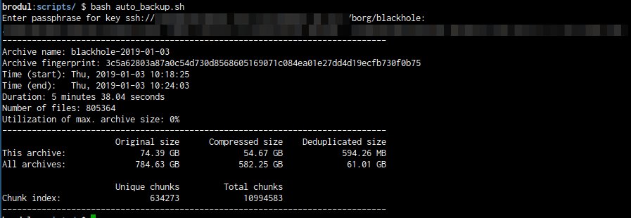brodul's tweet image. I love #borgbackup #backup