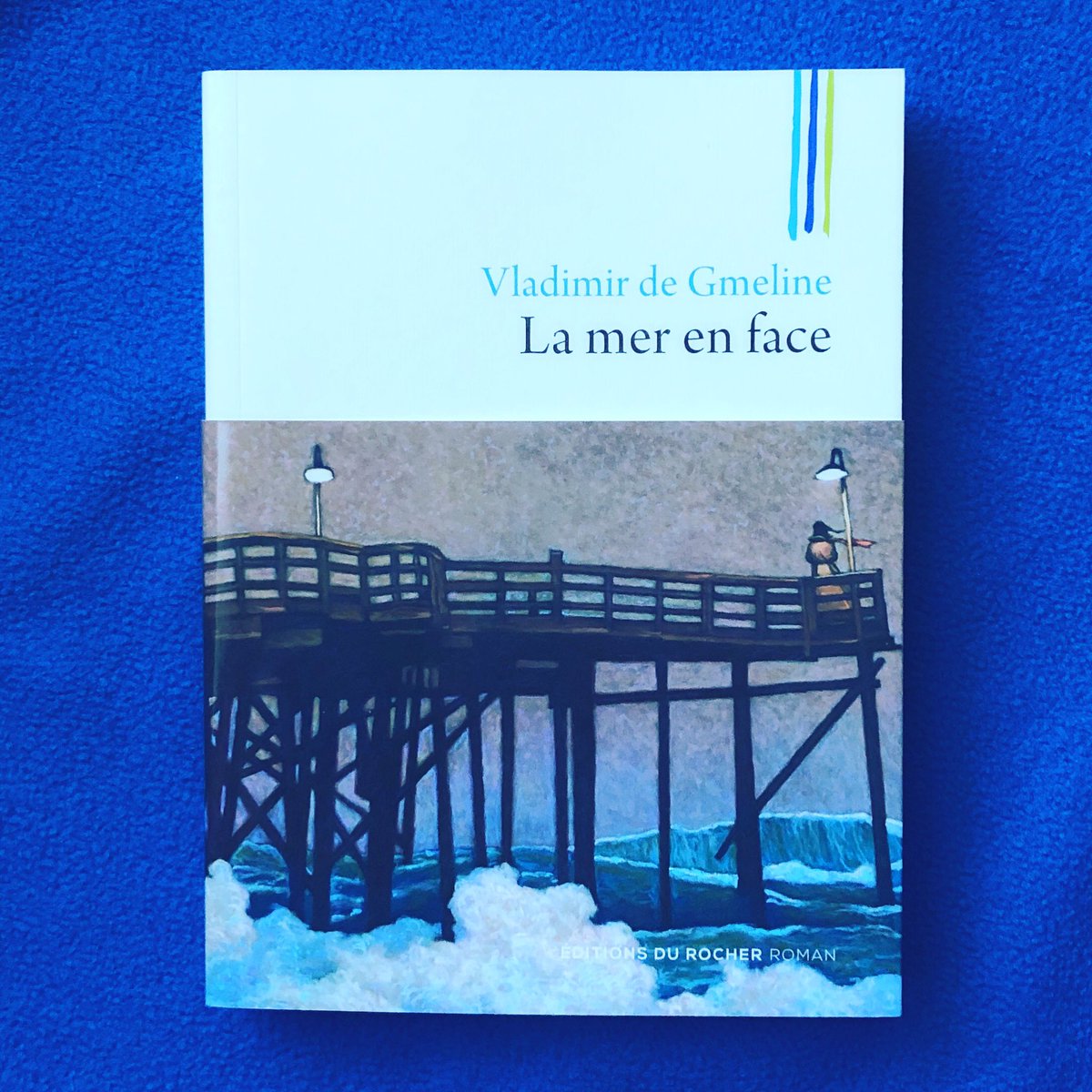 outetin's tweet photo. #MardiConseil Dans « la mer en face » Vladimir De Gmeline interroge sur la haine, ce qui conduit au crime. Quid du dépassement des limites, ce qui échappe à la compréhension? #performance #memoire #histoire #nazisme @EdduRocher1 @VendrediLecture #rl2018 https://t.co/N22yjcV6BF