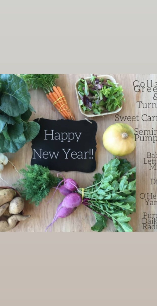 Vegan Chef Friedjof tweet media