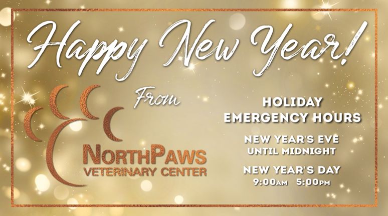 NorthPaws's tweet image. Happy 2019! Wishing all our patients and their families a safe and happy New Year!

If your pet is in need of urgent medical care, NorthPaws Veterinary Center will be open for emergencies today from 9:00am to 5:00pm.