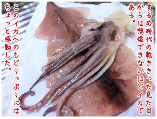 スルメを重曹を入れた水に一晩つけるとイカに戻ります。 | デイリー
