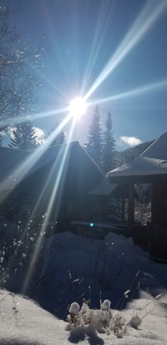 SolarNinjaTroy's tweet photo. It's the dawn of a new year! Happy New Year!
๐๐๐๐
Now that we've passed the #WinterSolstice, the sun shines a little bit longer every day.
#SolarNinja #happyNewYear
๐ธ Jennifer Carlson https://t.co/rZeyNWZlkD
