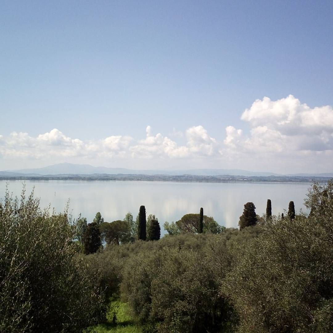 Isola_Polvese's tweet photo. Dalla Polvese verso la Toscana #polveseisland #parcolagotrasimeno #landscape #primavera #toscana #paesaggio #natura #umbria #stagioni @cea_isola_polvese (presso Isola Polvese) https://t.co/F5ZxhcLUE9