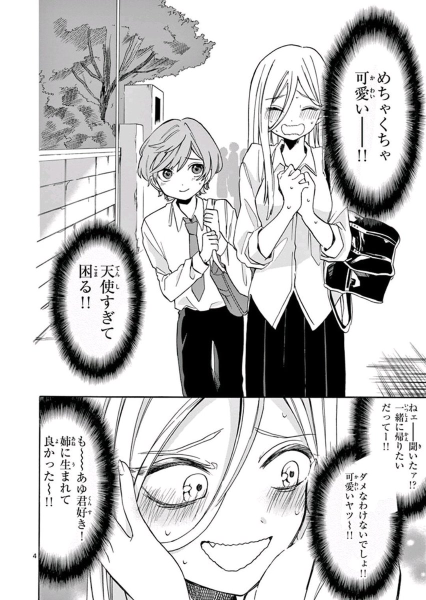 弟がかわいすぎて暴走するヤンキー姉さん① 