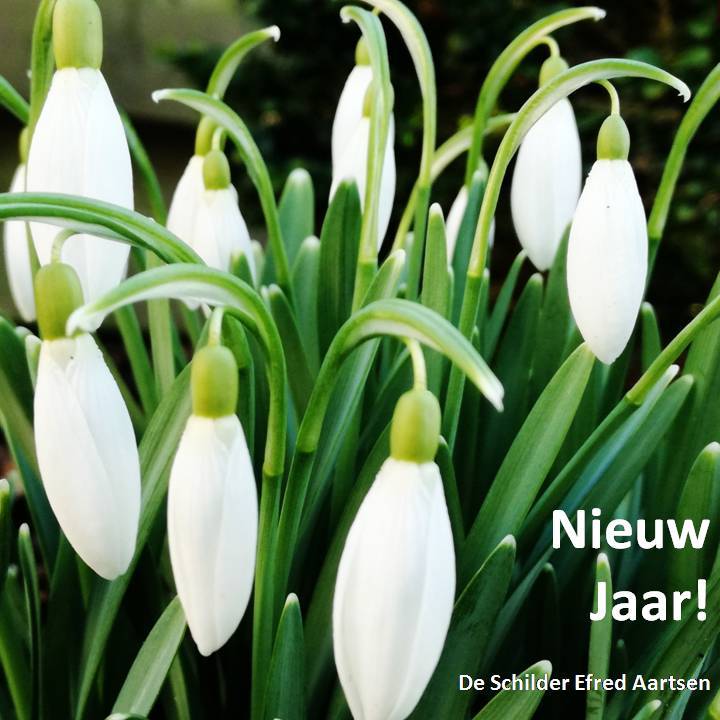 Schilder Zeewolde (@schilder_zeewol) on Twitter photo 