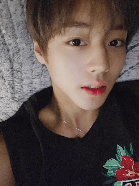twinkle_990529's tweet photo. 2019.01.01 박지훈 공식 팬카페❤️

🎉https://t.co/Pg4OKsgL4R

#박지훈 #parkjihoon #jihoon #朴志訓 
#パクジフン #จีฮุน https://t.co/gRsyaojD8X