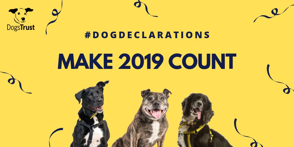 DogsTrust's tweet photo. Resolutions. We all make them, we all break them. 🚫
Make 2019 different by picking one of our #DogDeclarations - we'll be tweeting ideas for you all day. With a bit of dogged determination, you can make this year count 💪🐶 https://t.co/FekJVVuOxY