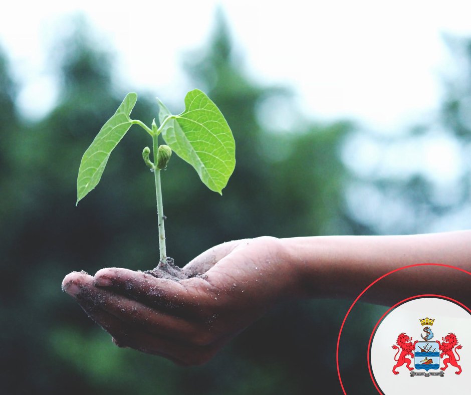 Start the #newyear off well by #sponsoring an individual in our #Streetscapes project. For only R2000 a month, you could turn their life around. ow.ly/ZQho30mWfFj