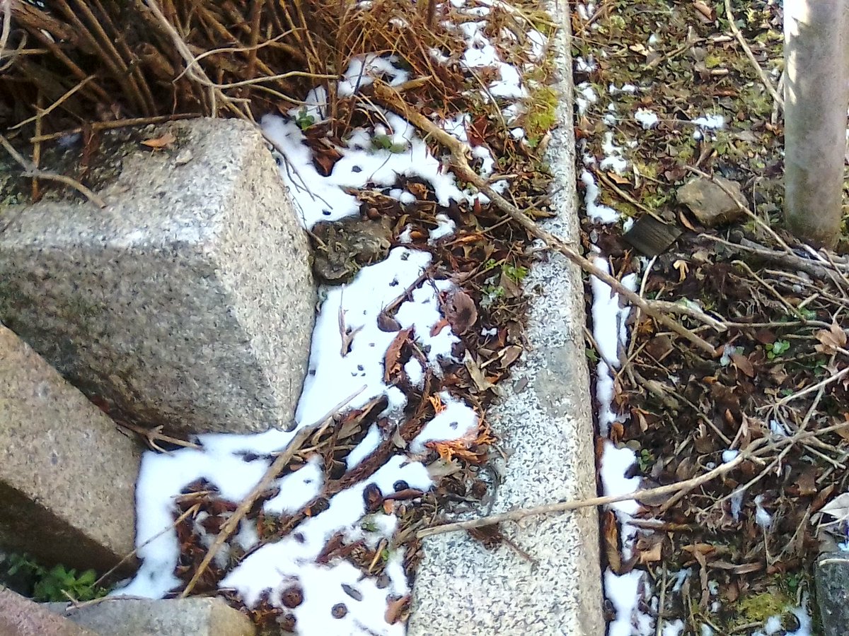 77tukiko's tweet image. 大阪北部(1/1  14:30)
初詣にいったら雪と氷に遭遇
年末は冷えましたなぁ
#nhknj