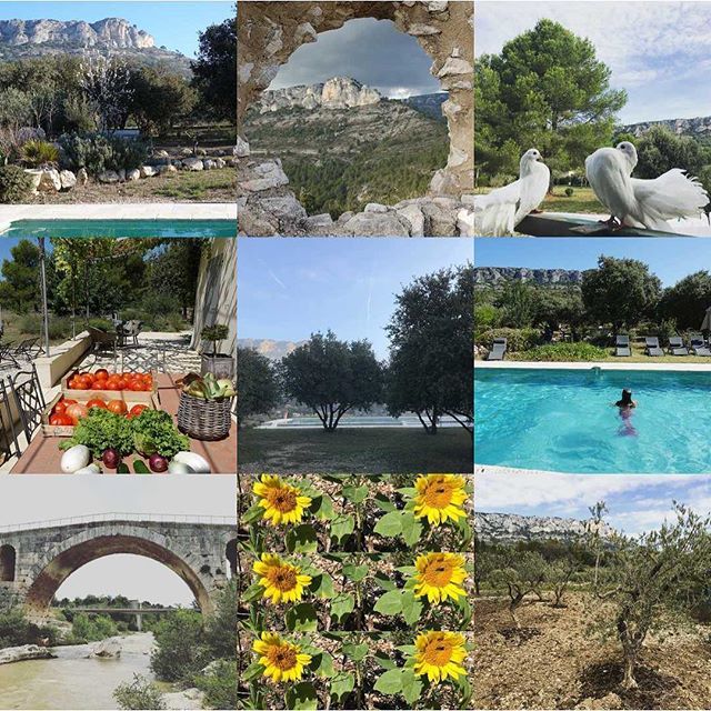 Pause_Luberon's tweet photo. Meilleurs vœux de santé et de bonheur pour 2018. Merci à tous nos hôtes 👍En 2019 prend les mêmes et on recommence - nature et Luberon, calme et relaxation, sport et produits locaux #pauseluberon #happynewyear #luberon #provence #airbnb #superhost #a… https://t.co/0OMXCpoFcS https://t.co/LHDCwMbIVJ