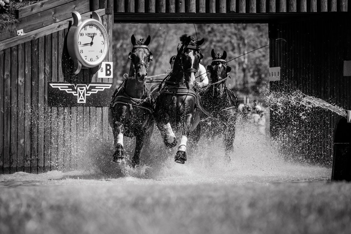 FEI_Global's tweet photo. Charging into 2019 like...💪

It's been an incredible year fro equestrian sport. Here's to another amazing one in 2019 🙌 ❤️

#HappyNewYear2019 https://t.co/E0dlnyGJ75