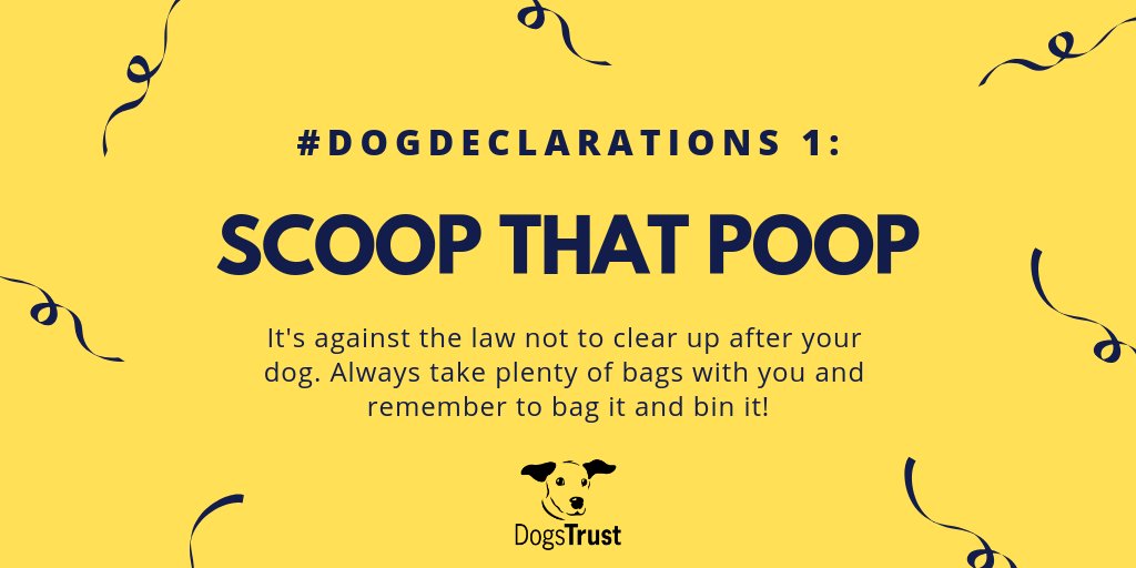 DogsTrust's tweet photo. #DogDeclarations: A simple one to start us off: make sure you pick up your dogs poop on EVERY walk. 💩 Don't give dog owners a bad name this 2019, bag it and bin it. ✔️🐶 https://t.co/BZ8Gv04BXY