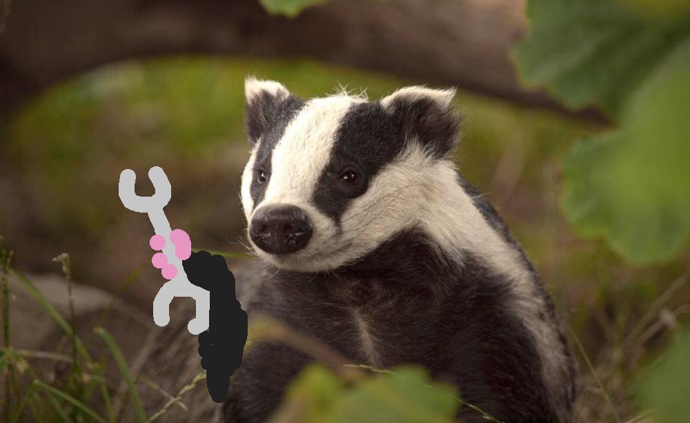 космический барсук