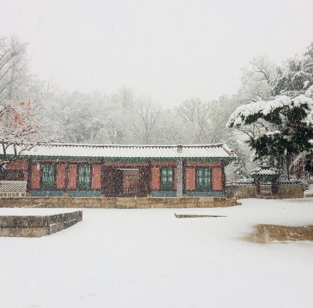 2019년 기해년이 밝았습니다.
새해 복 많이 받으세요 ^^
