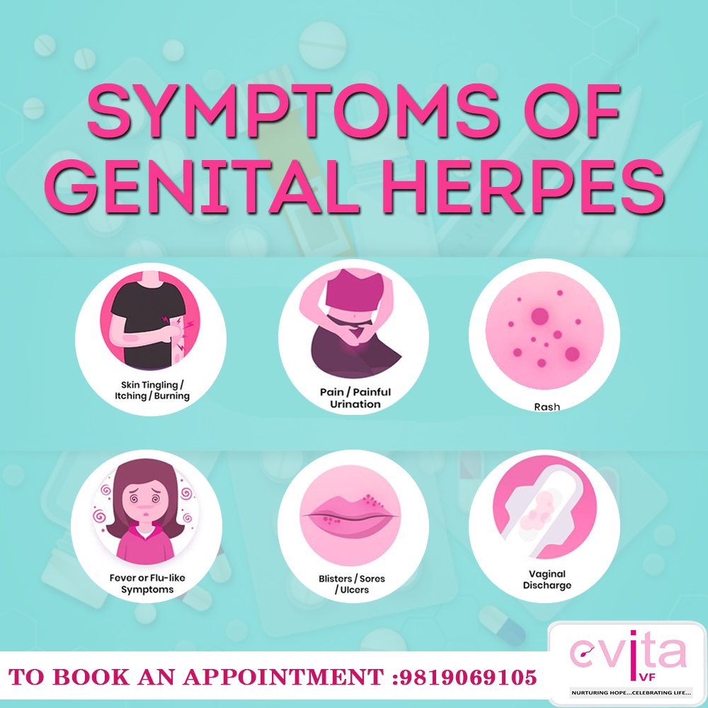 Herpes genitaler Genital herpes