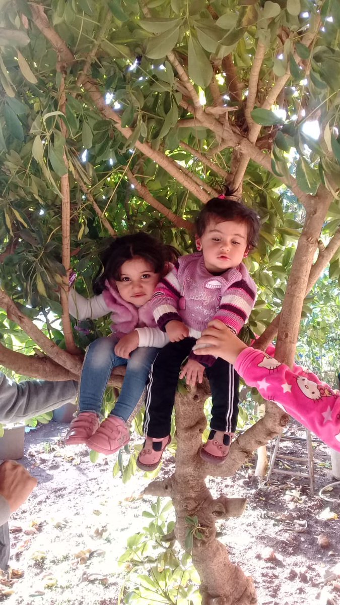 malak Shibly (@shiblymalak) on Twitter photo 