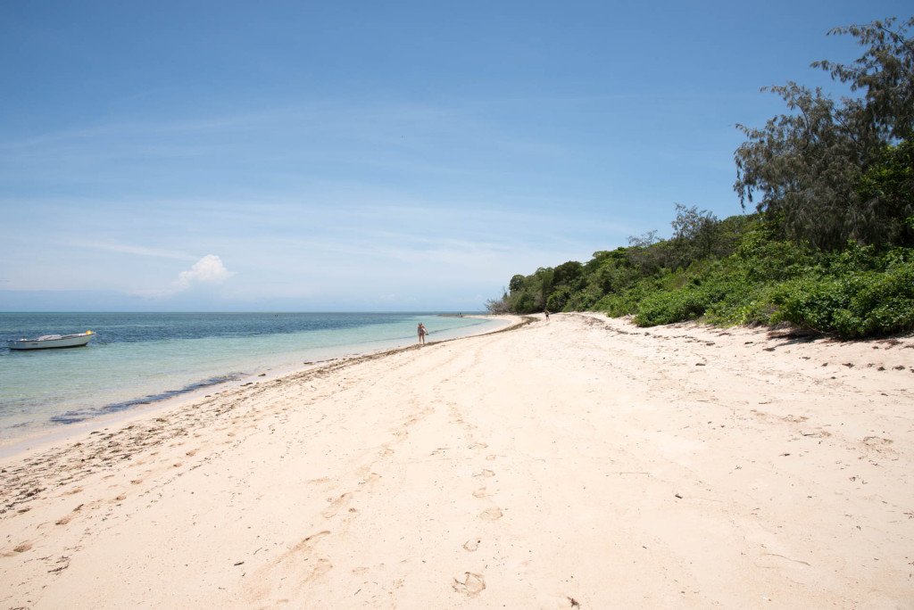 winecurious tweet media